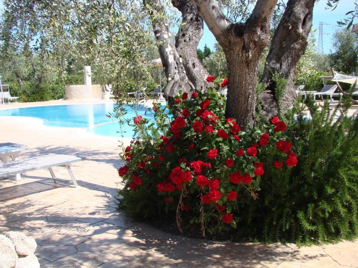 Agriturismo I Tesori Del Sud Vieste, Puglia Екстер'єр фото